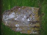 image of grave number 835493